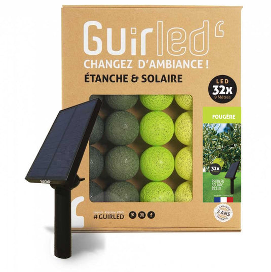 GUIRLED - Fern Fairy Lights Outdoor waterdichte en op zonne-energie aangedreven LED-ballen (32 ballen)