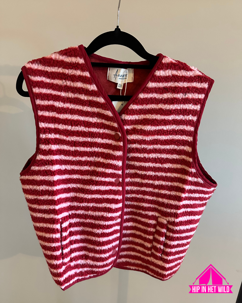 Afbeelding laden in Galerijviewer, Teddy Gilet Rood
