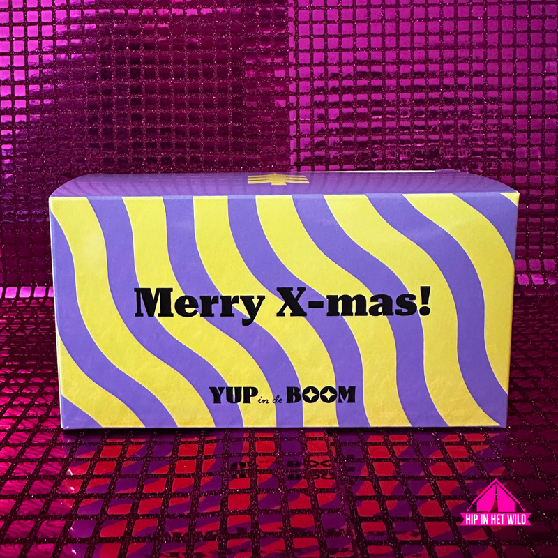Afbeelding laden in Galerijviewer, Yup in de Boom | Bakfiets kerstornament van glas – origineel kerstcadeau
