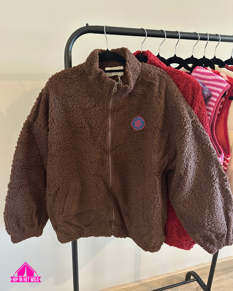 Afbeelding laden in Galerijviewer, Teddy Jas Bruin
