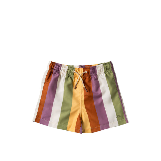 Multi Stripe | Swim Shorts Salted Stories 2026