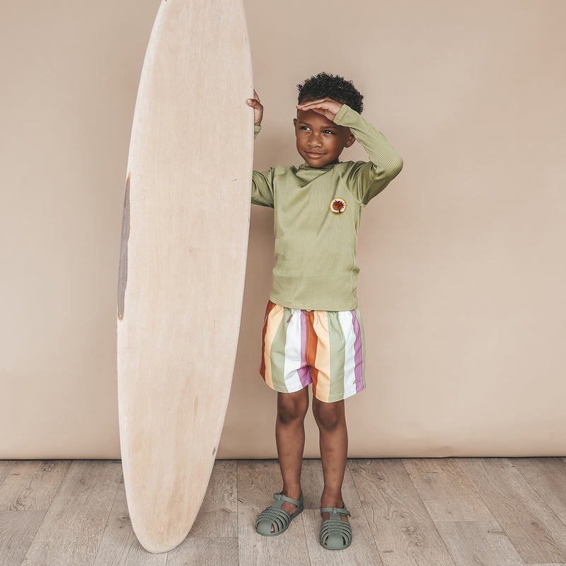 Afbeelding laden in Galerijviewer, Multi Stripe | Swim Shorts Salted Stories 2026
