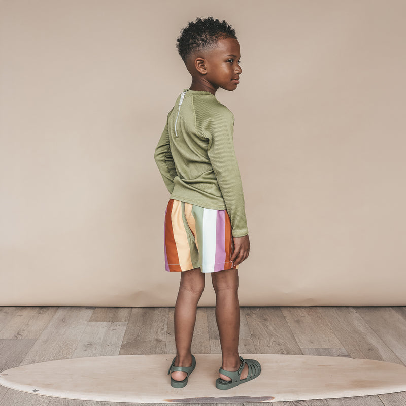 Afbeelding laden in Galerijviewer, Multi Stripe | Swim Shorts Salted Stories 2026
